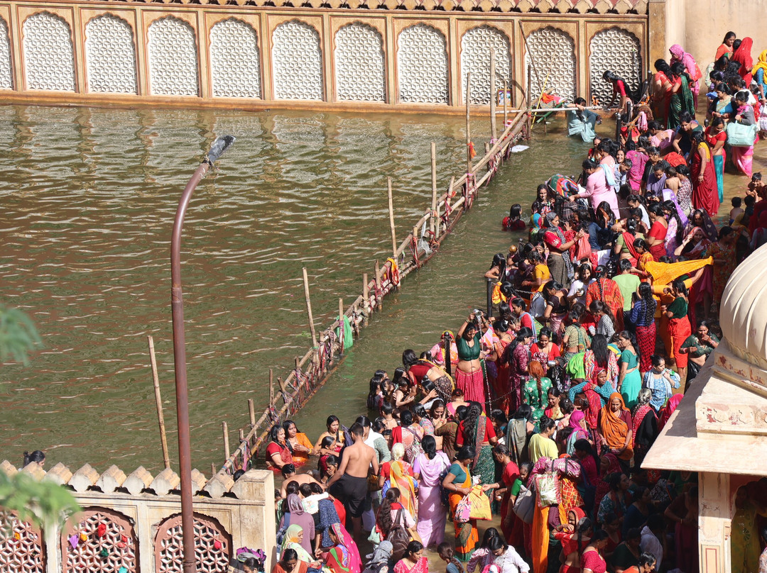 Rainbow Dream Travels-诺伊达必去景点