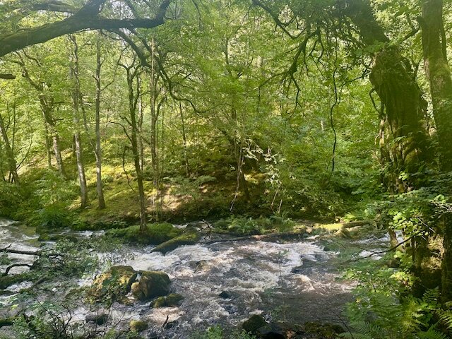 彭曼纽沙夫大厅酒店-浴室