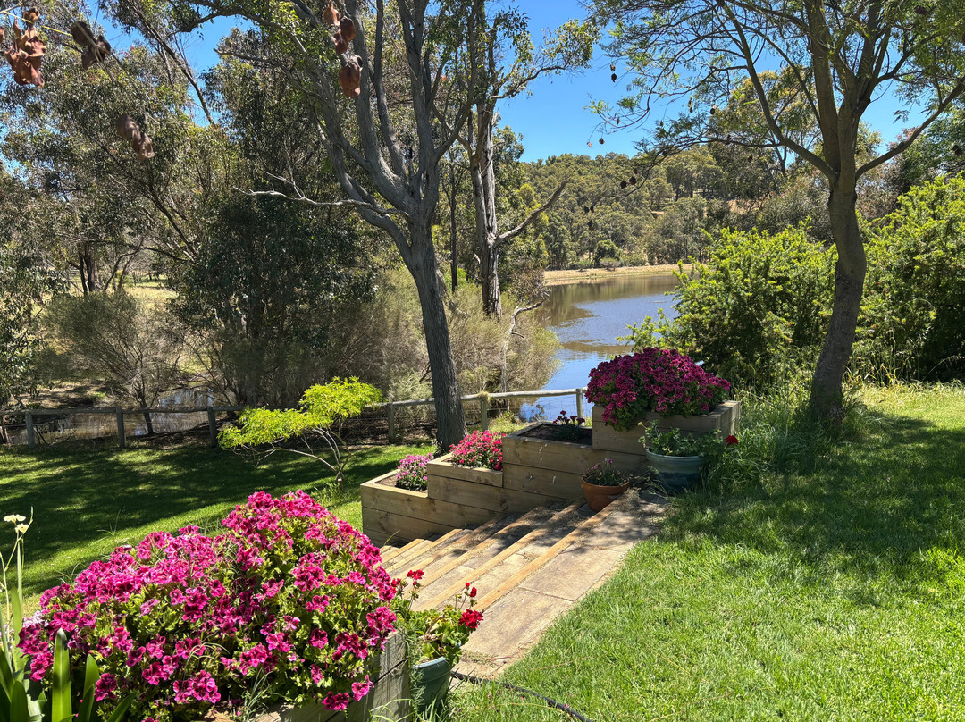 Henty Lodge Bed & Breakfast主图