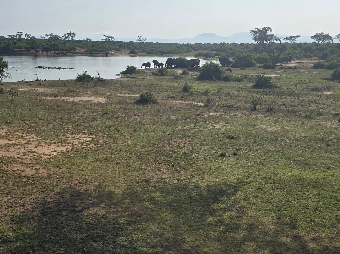 Kazinga Channel-伊丽莎白女王国家公园必去景点