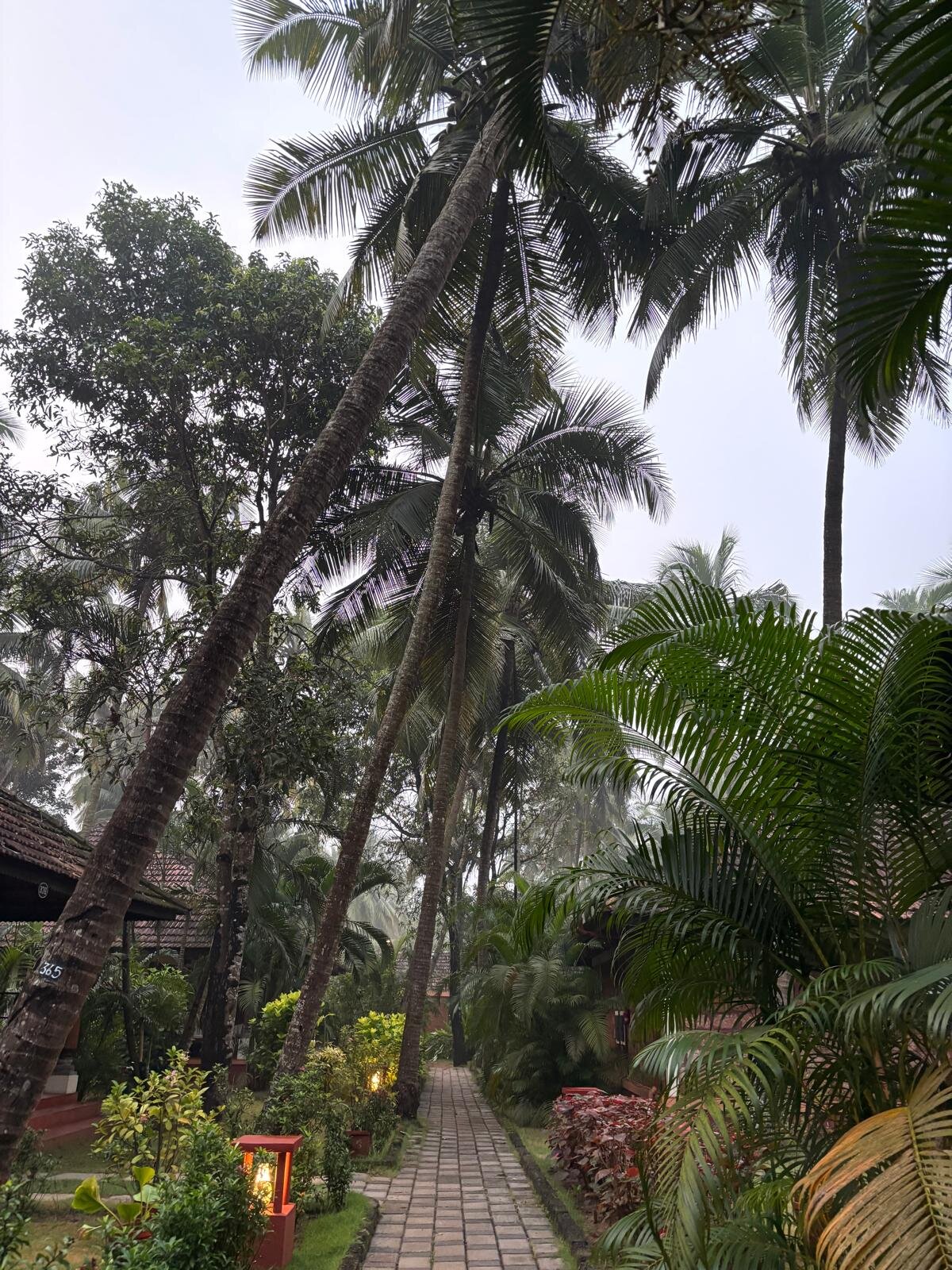 The Nattika Beach Resort-浴室