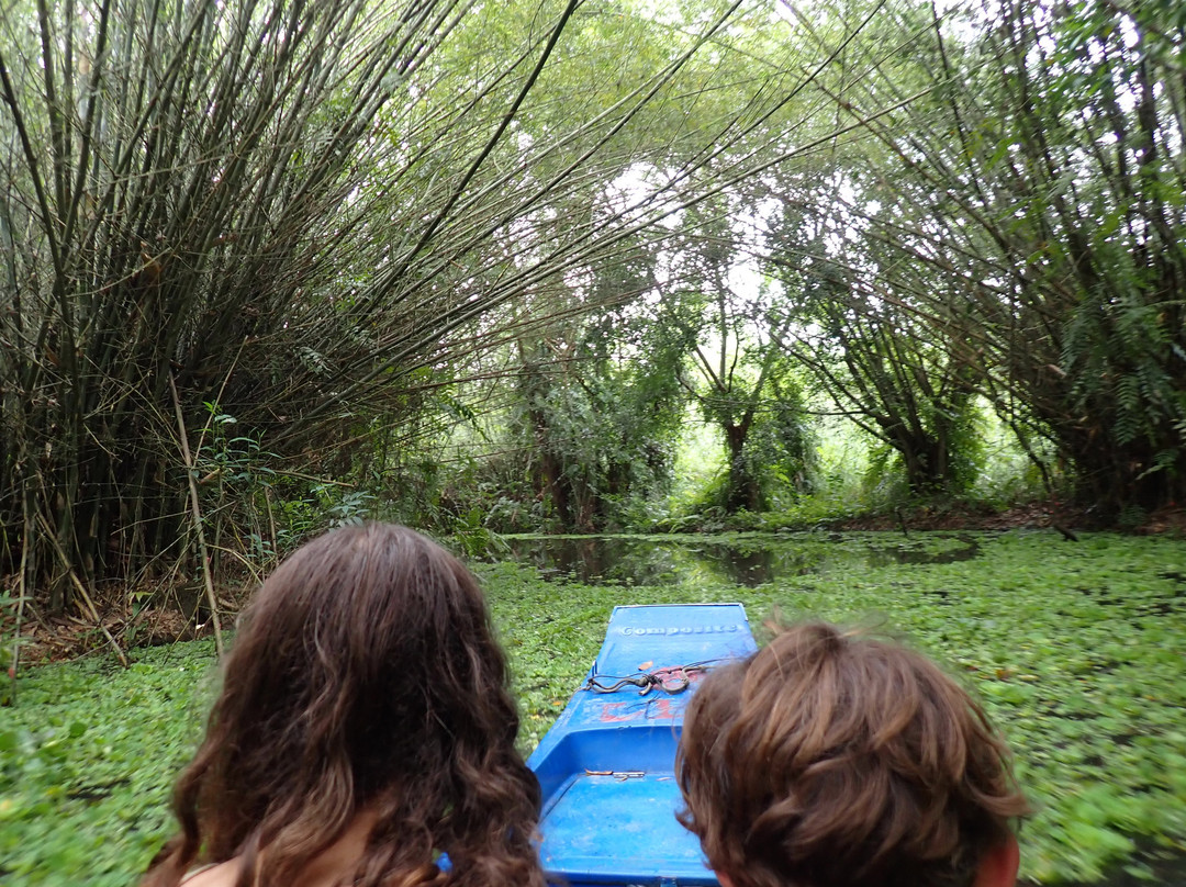 Mekong By Local-芹苴必去景点