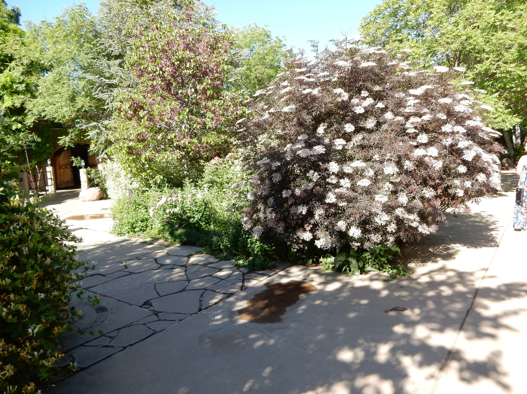 ABQ BioPark Botanic Garden-阿尔伯克基必去景点
