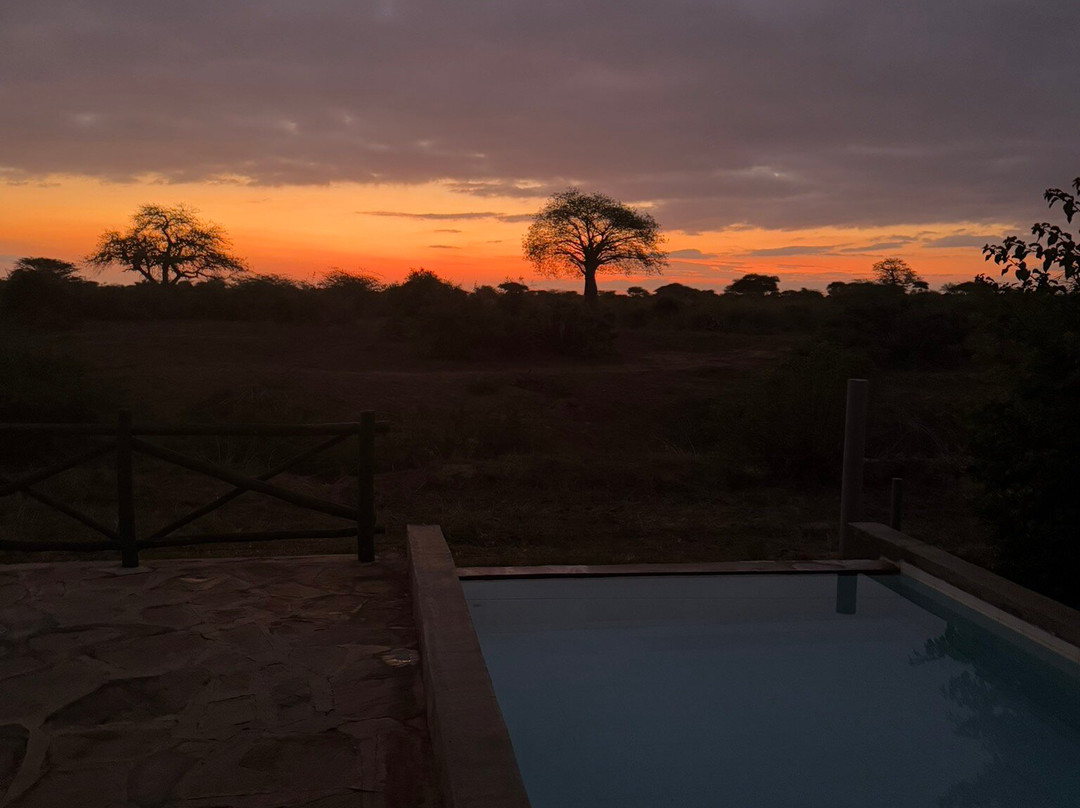 Agenzia Safari Vera Africa-东察沃国家公园必去景点