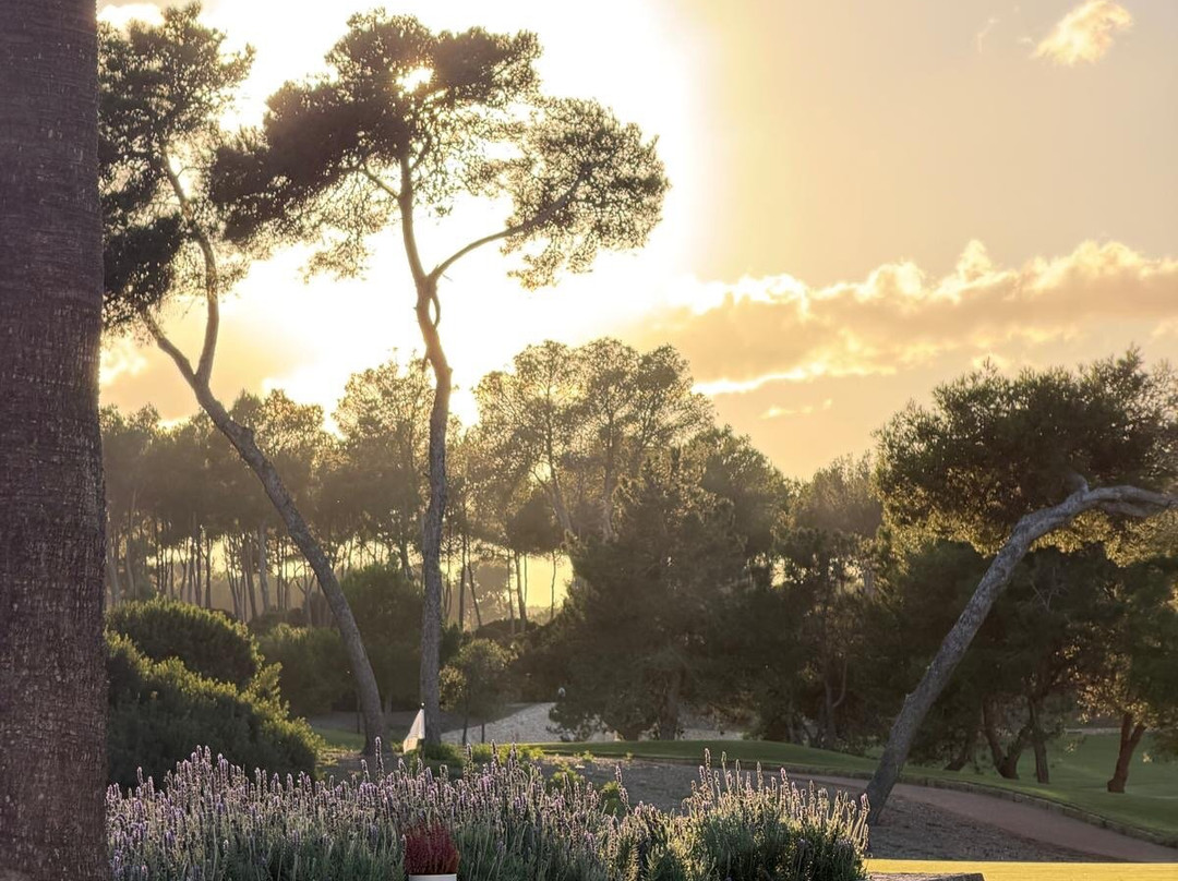 T Golf Calvia-卡尔维亚必去景点