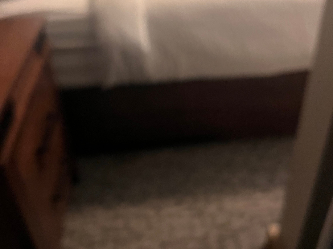 Wilderness at the Smokies-塞维尔维尔必去景点