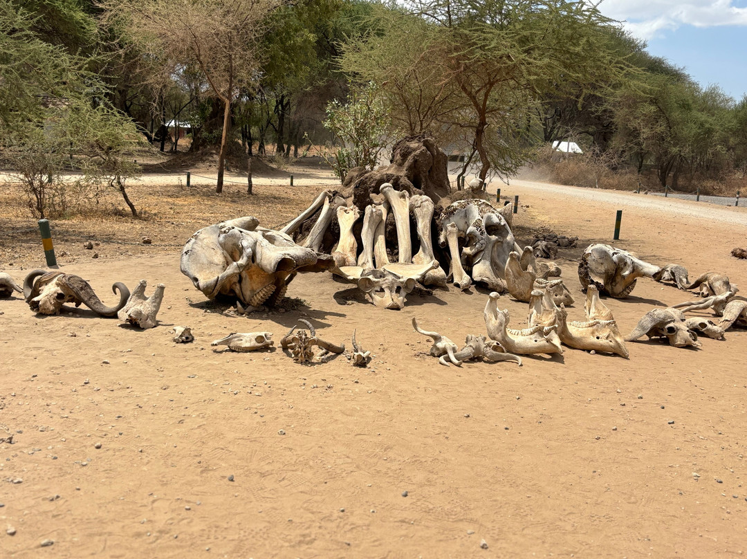 Exotic Wilderness-Seronera必去景点