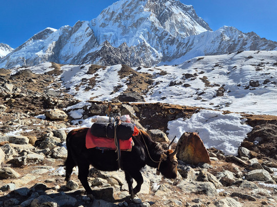 The Great Adventure Treks & Expedition - Private Day Tours-加德满都必去景点