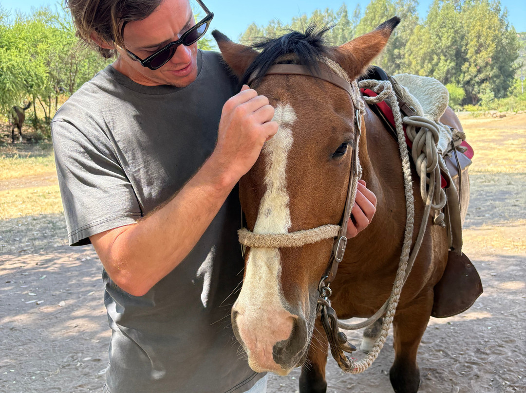 Natural Wine Tours-Palmilla必去景点