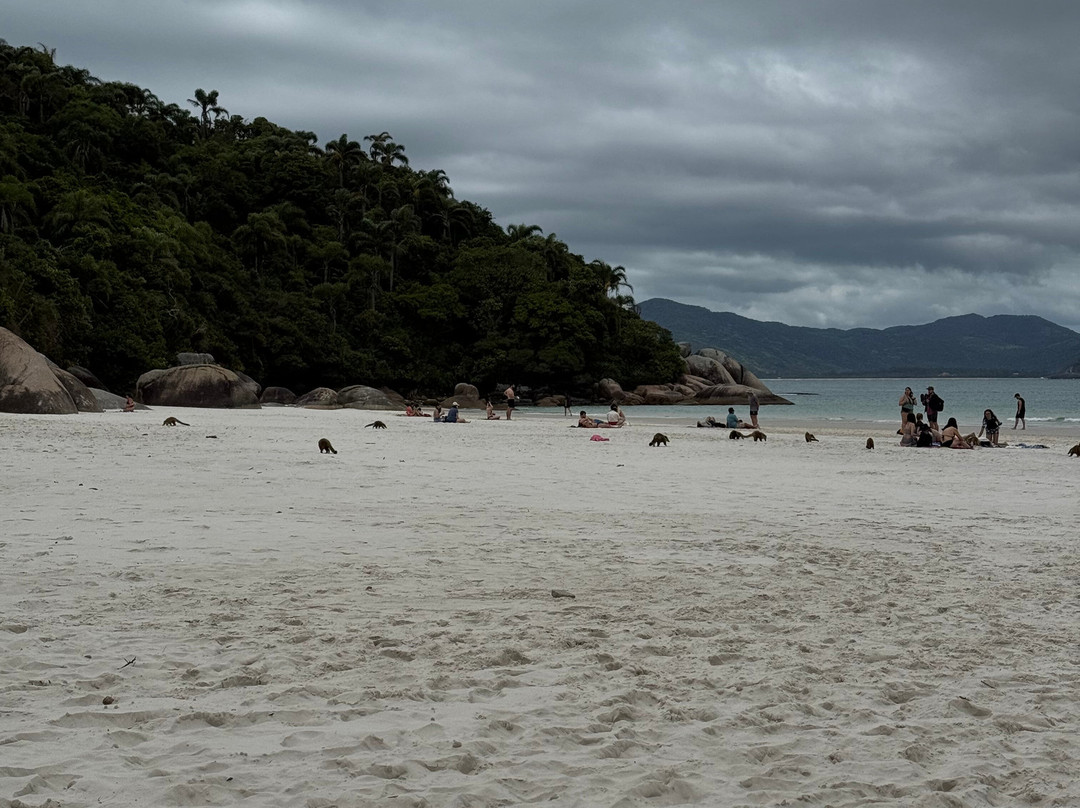 Ilha do Campeche-Campeche必去景点