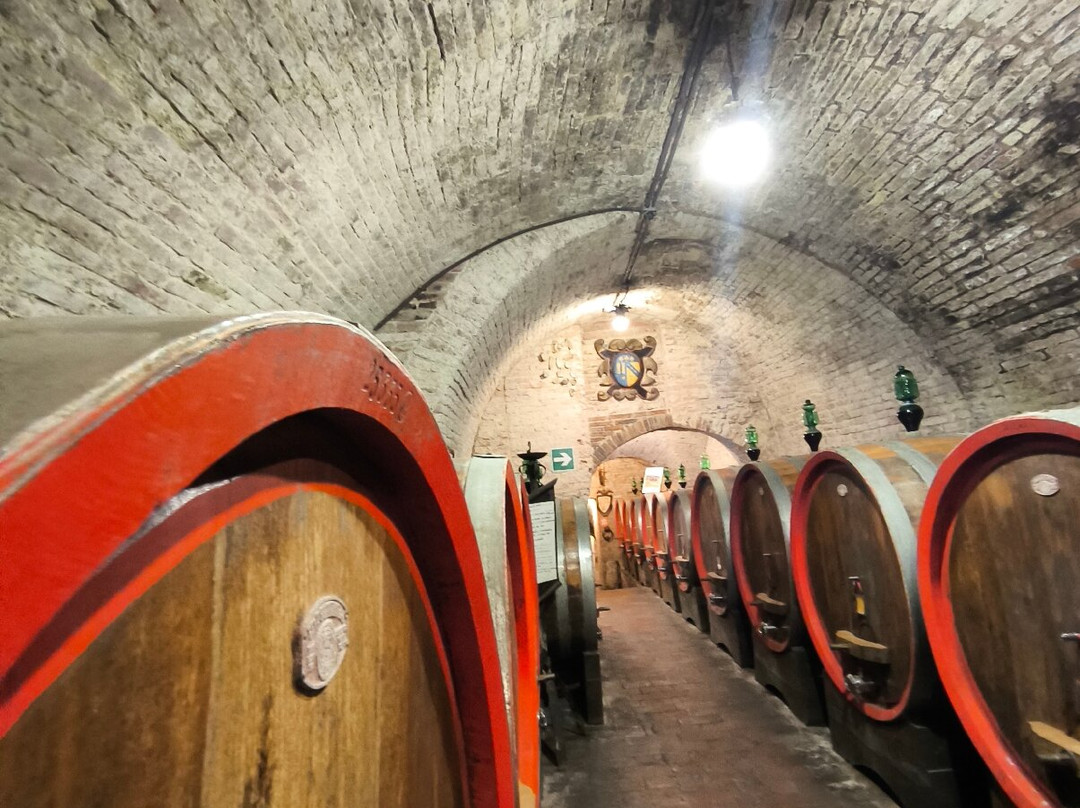 Azienda Agricola Ercolani-蒙特普尔恰诺必去景点