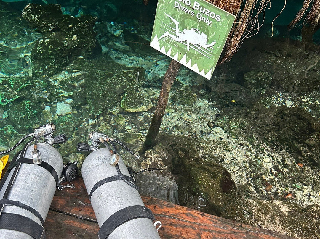 Divers Society-Saronida必去景点