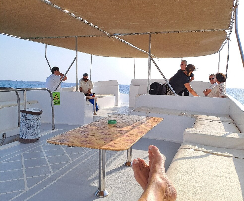 Ducks Diving Safaga-Safaga必去景点