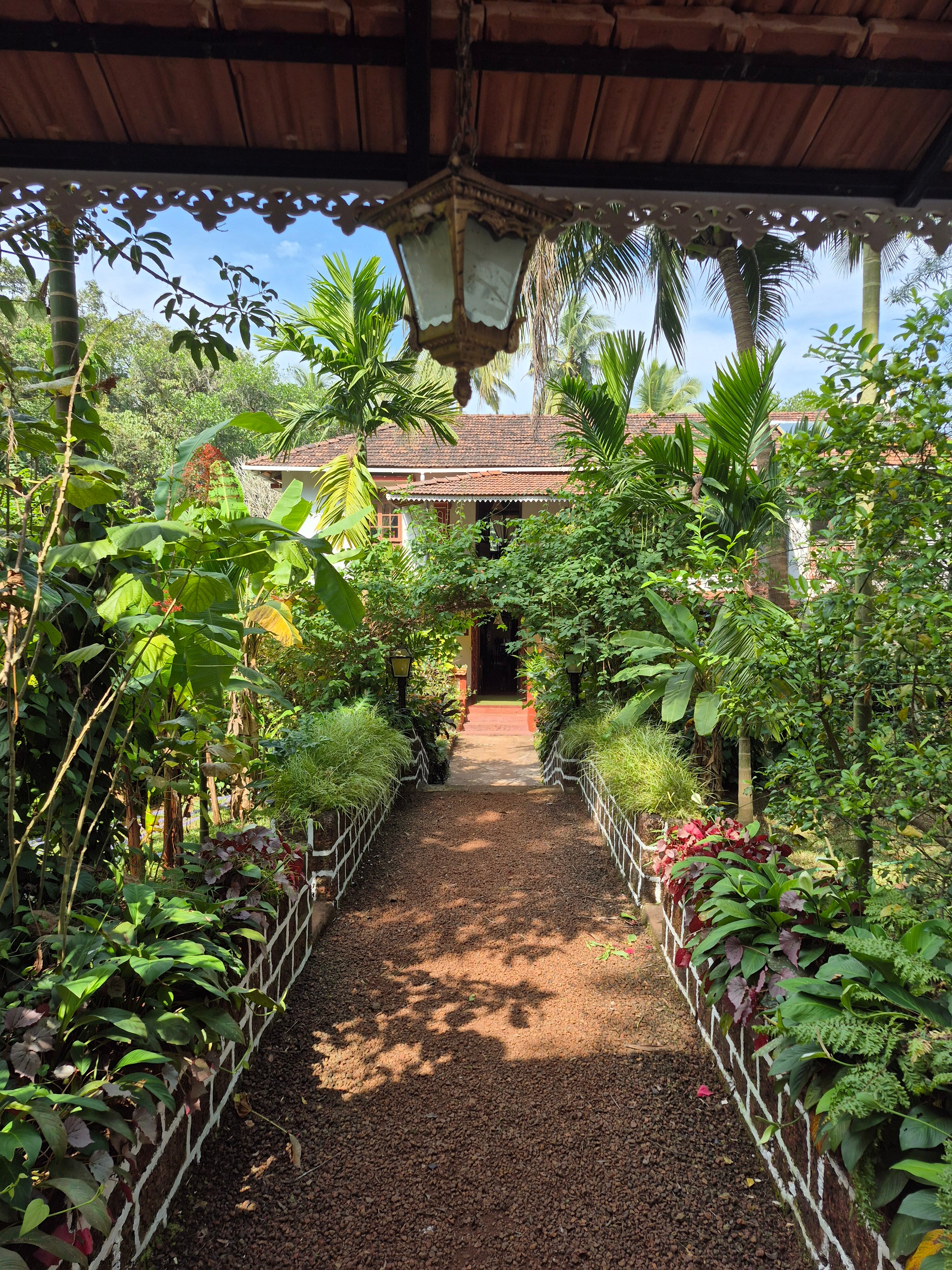 坎西奥宾馆-官方