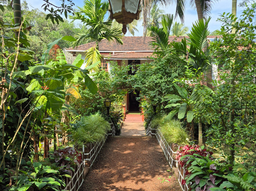 坎西奥宾馆主图