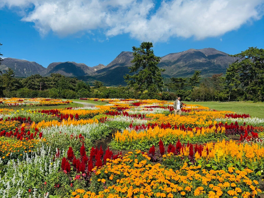 Kuju Flower Park-竹田市必去景点