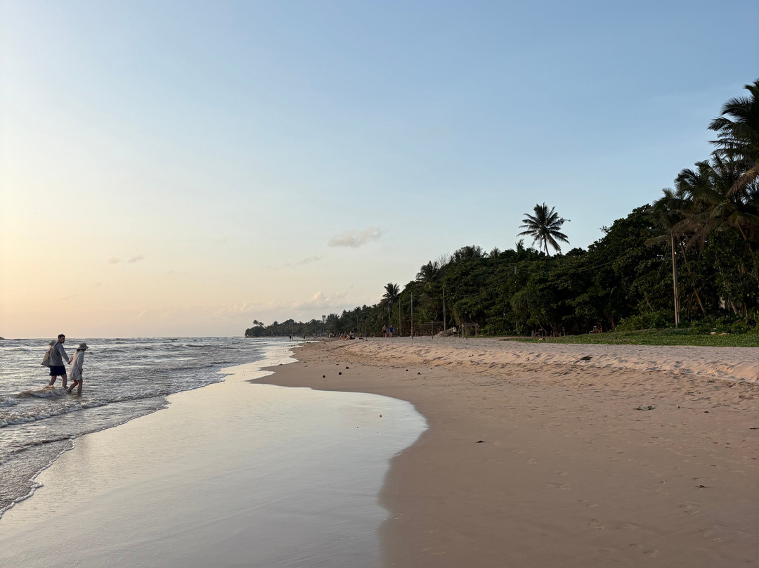 Sri Lanka Dream Tour-尼甘布必去景点