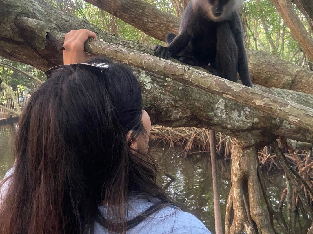 Beruwala Day Tours-贝卢瓦拉必去景点