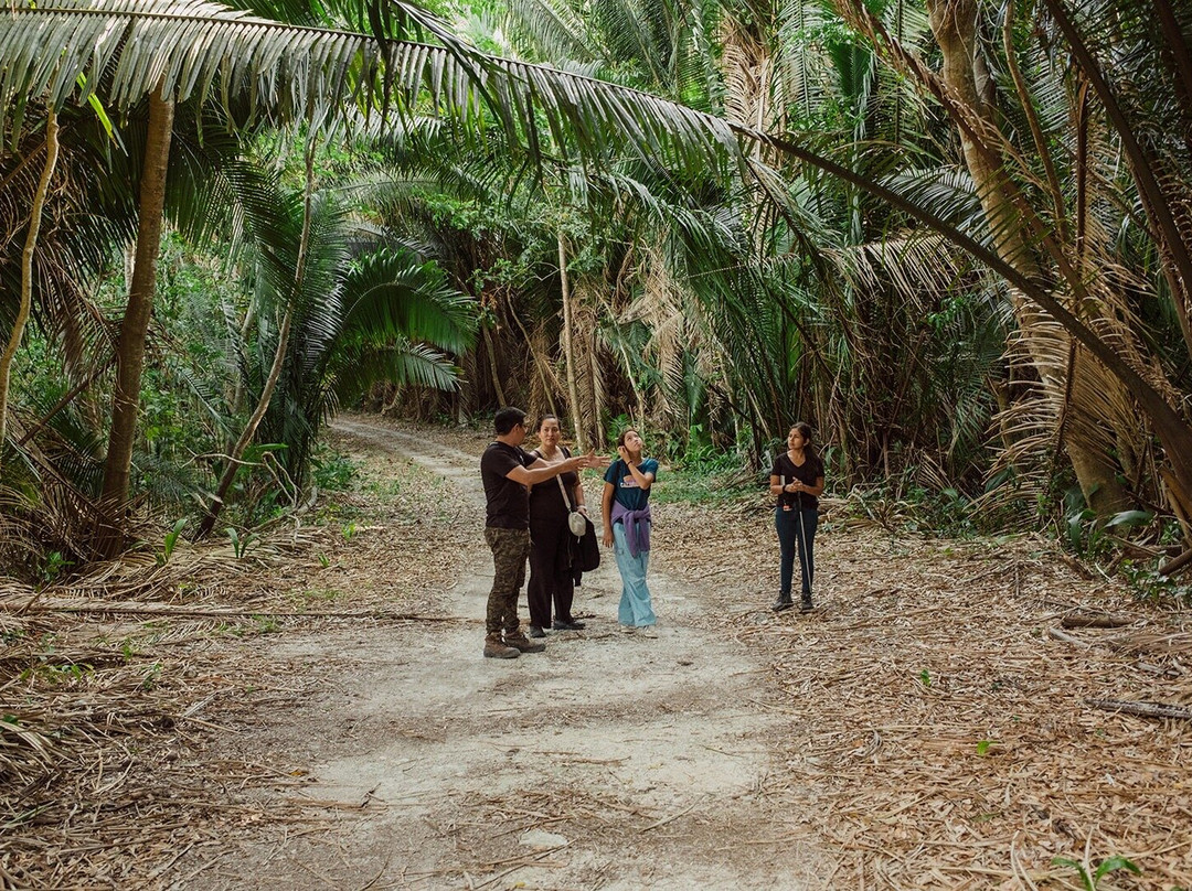 K'u' Áayin - Nido de Cocodrilos-Chunhuhub必去景点