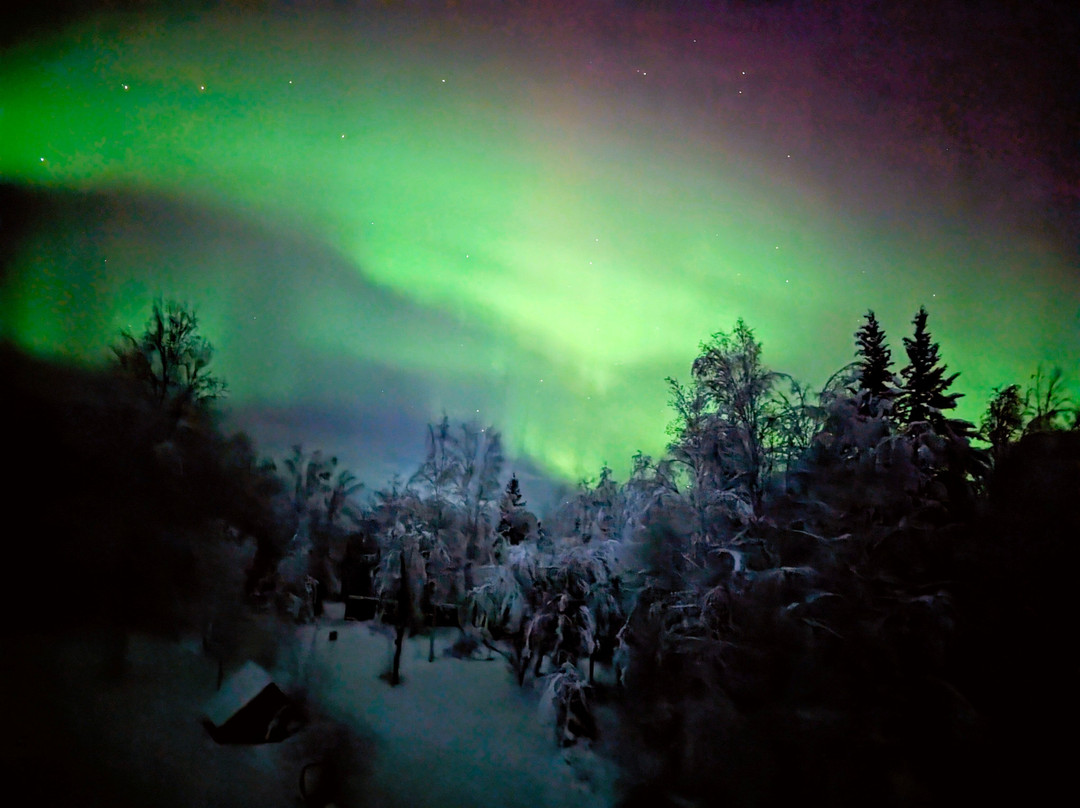 阿拉斯加吉尔兹乐小屋酒店主图