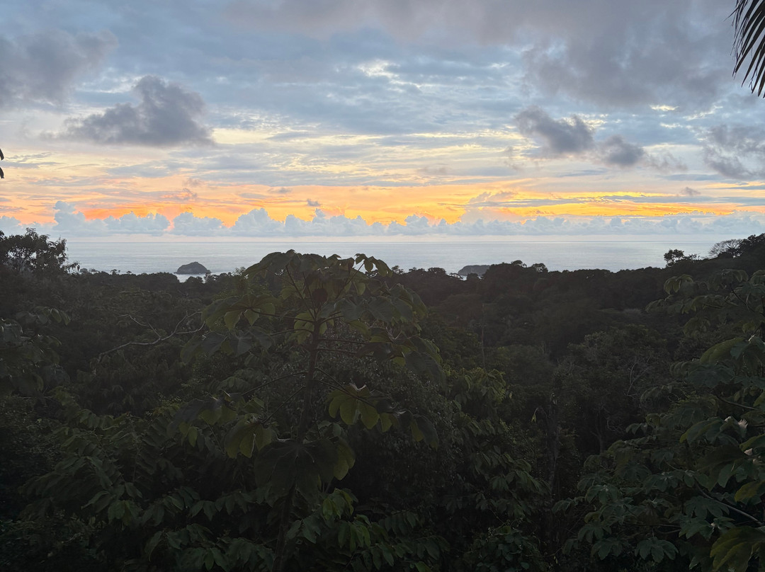 Mountain Top Park-哥斯达黎加安东尼奥国家公园必去景点