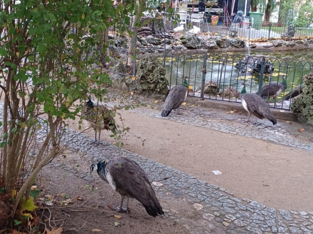 Évora Public Garden-埃武拉必去景点