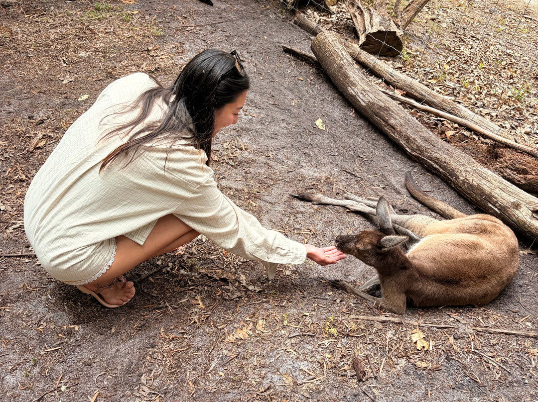 Denmark Dinosaur World-丹麦必去景点