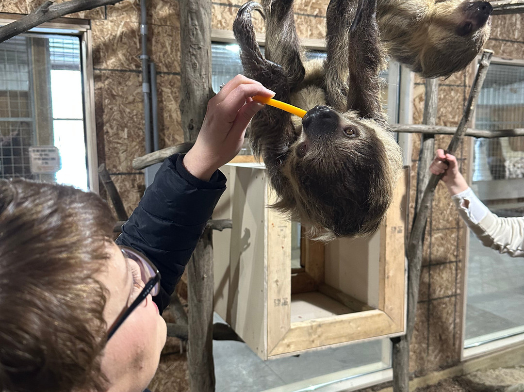 Keystone Safari-格罗夫城必去景点