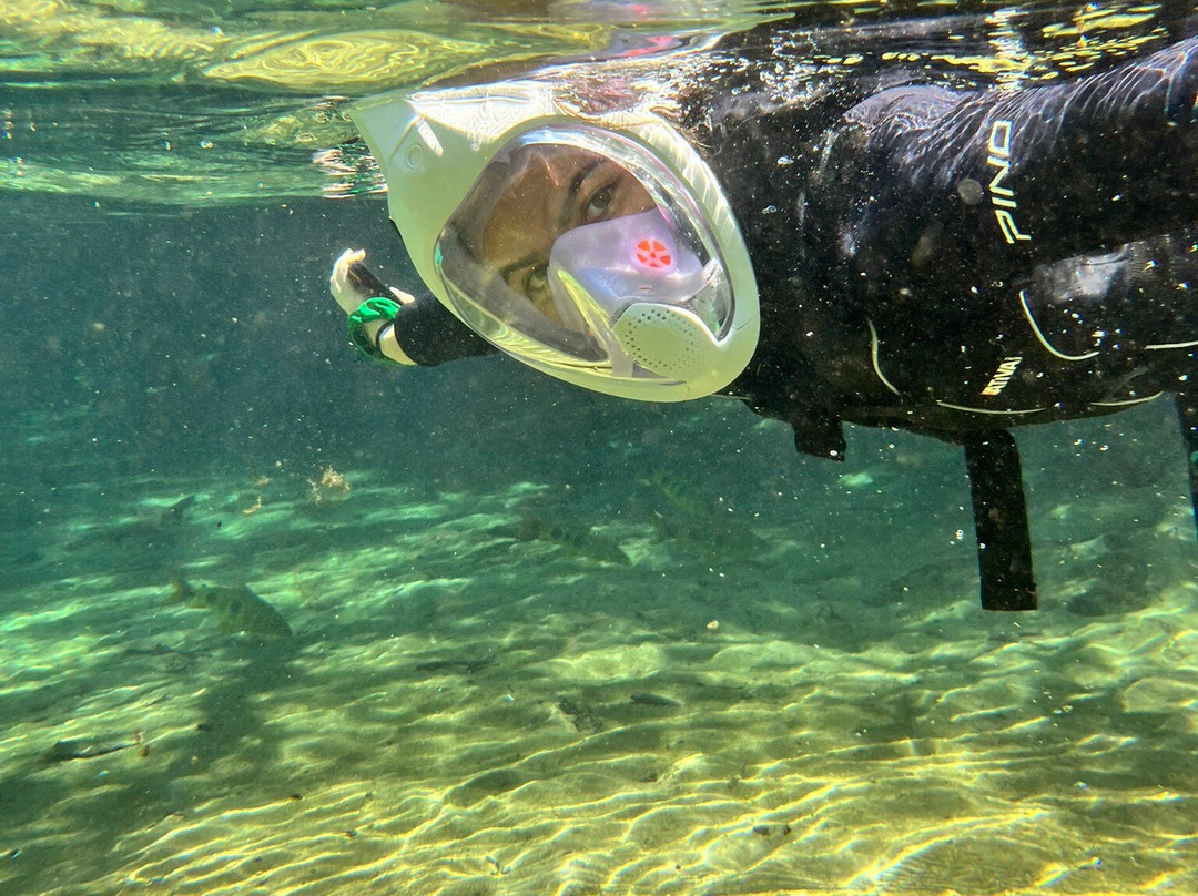 Rio da Prata-南马托格罗索州必去景点