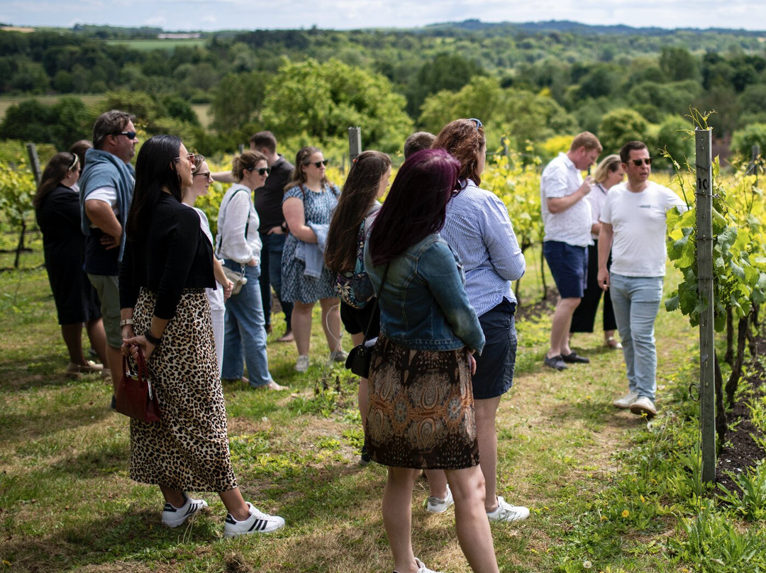 Black Chalk Wine-Andover必去景点