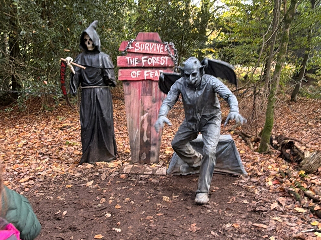 温德米尔布罗克霍尔湖-温德米尔必去景点