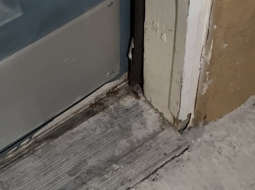 Rodeway Inn & Suites主图