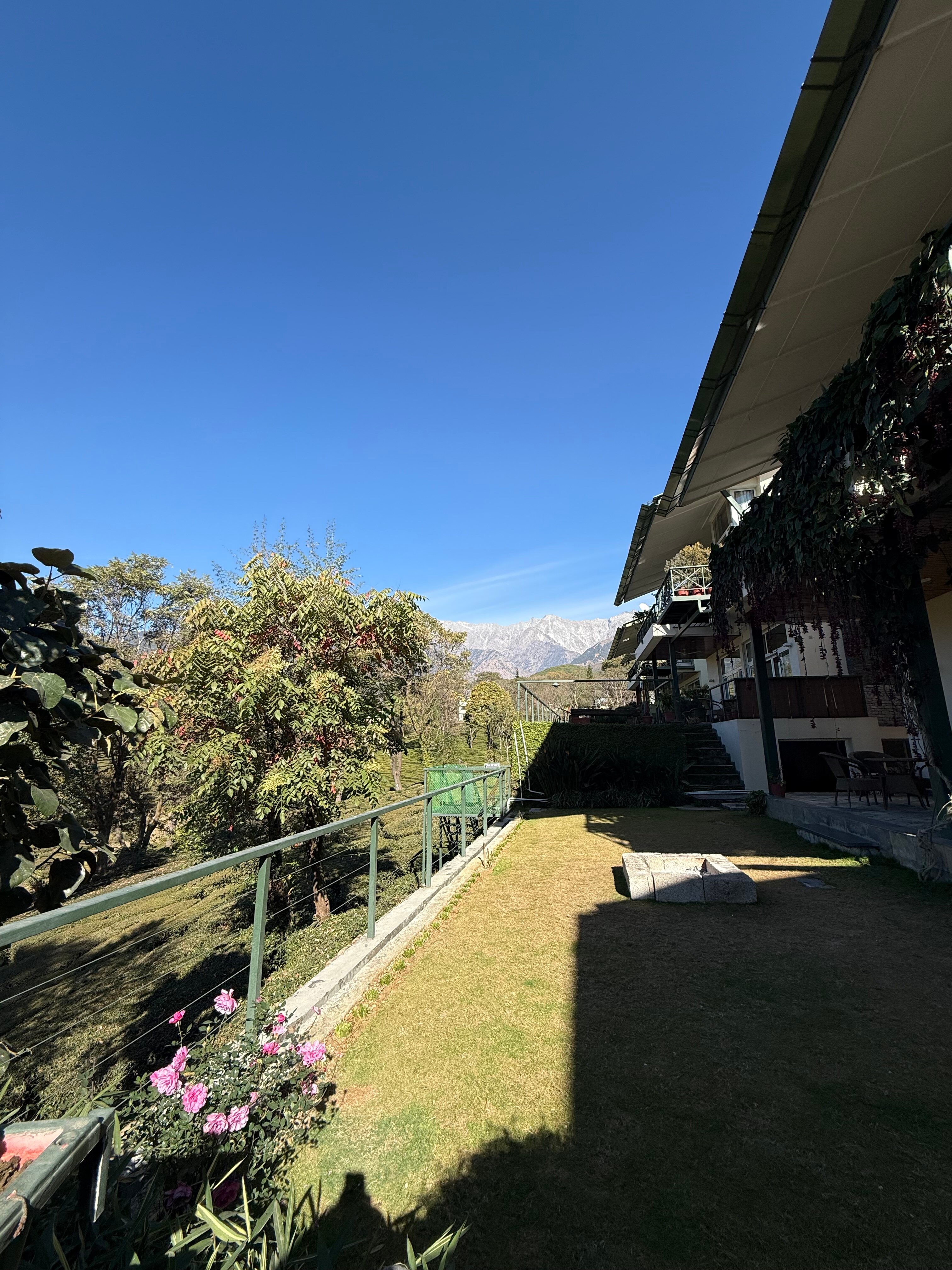 Lamrin Norwood Green Palampur-官方