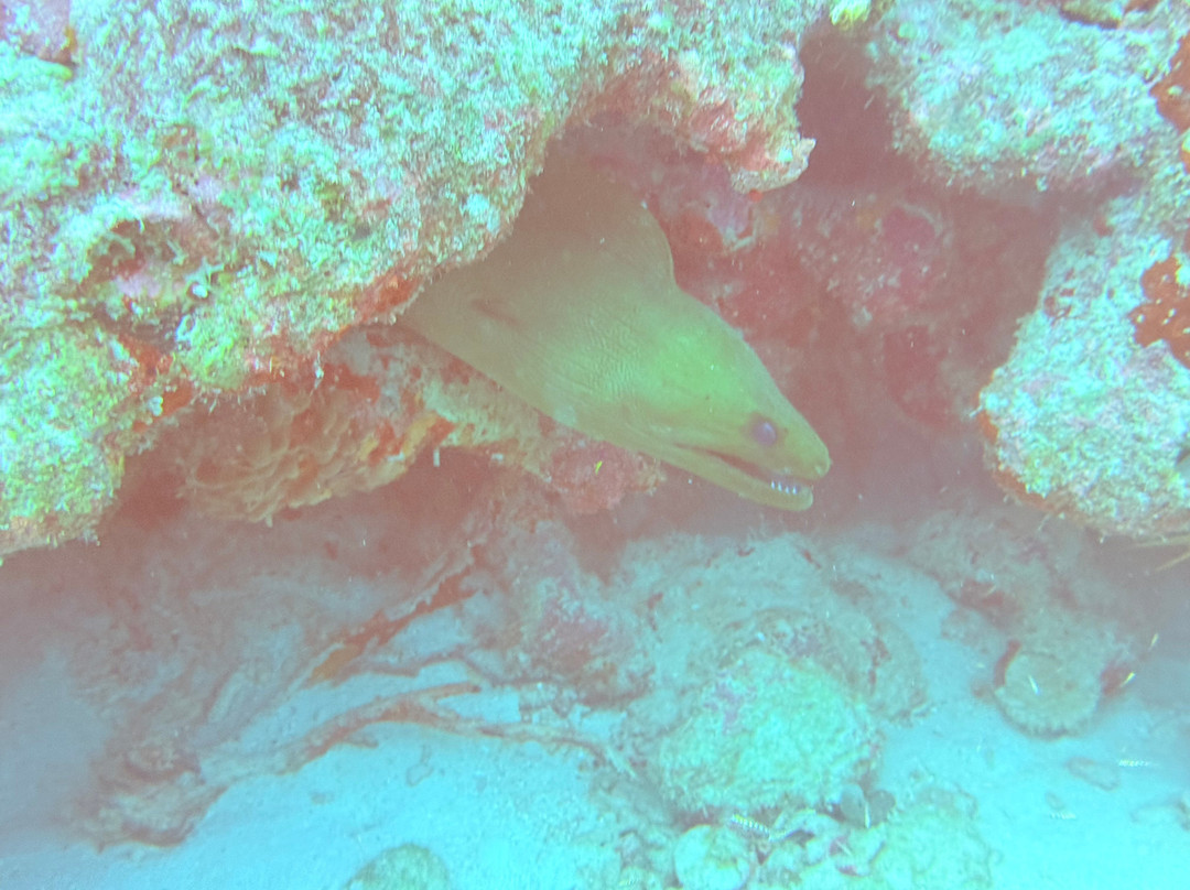 JADS Dive Center-San Nicolas必去景点