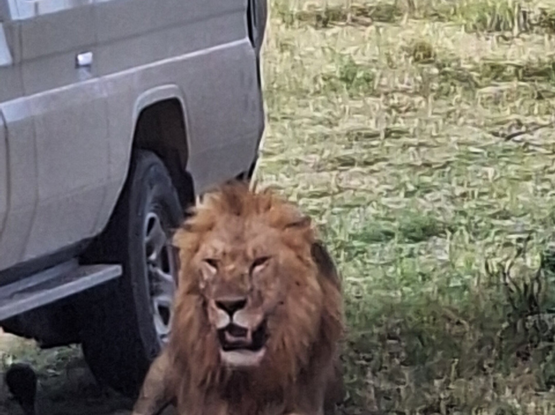 Tanzania Specialist-阿鲁沙必去景点