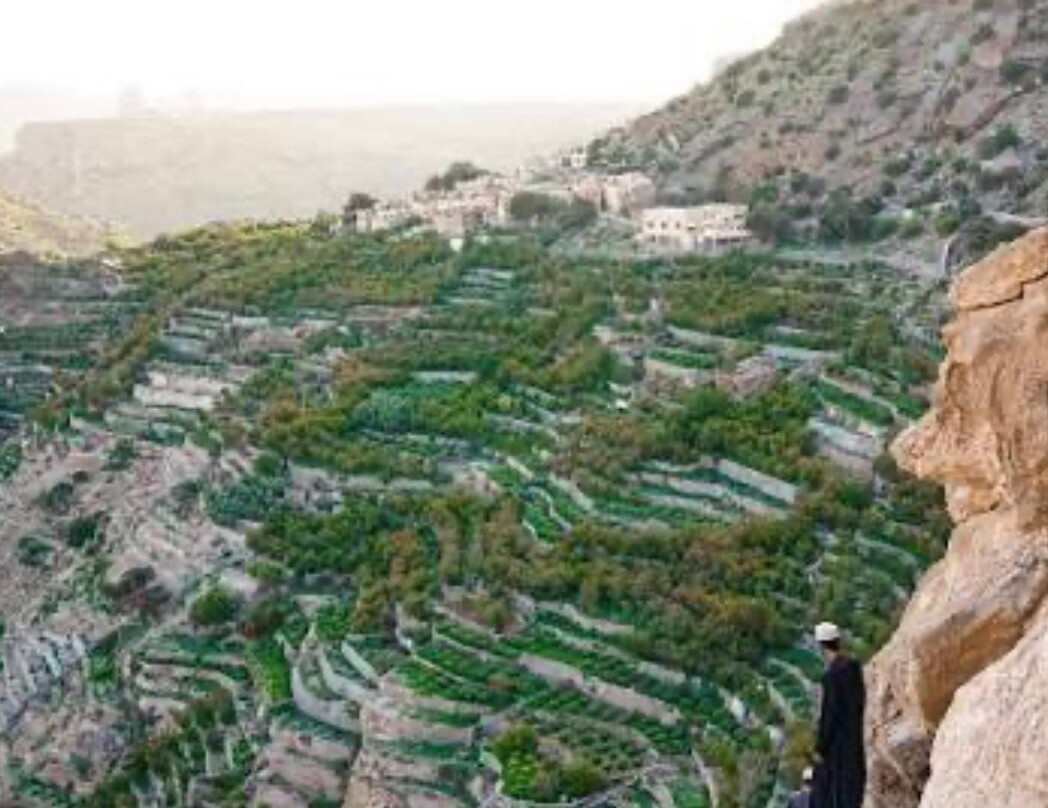 Jebel Akhdar-尼日瓦必去景点