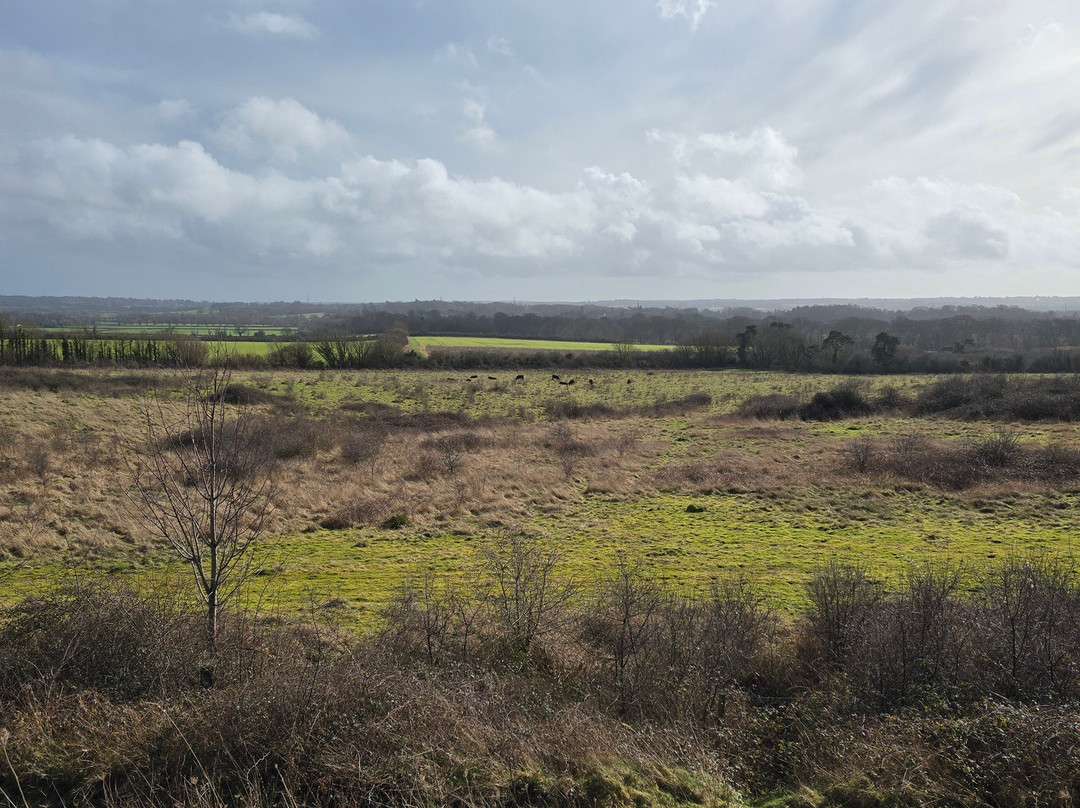 Badbury Rings-Wimborne Minster必去景点