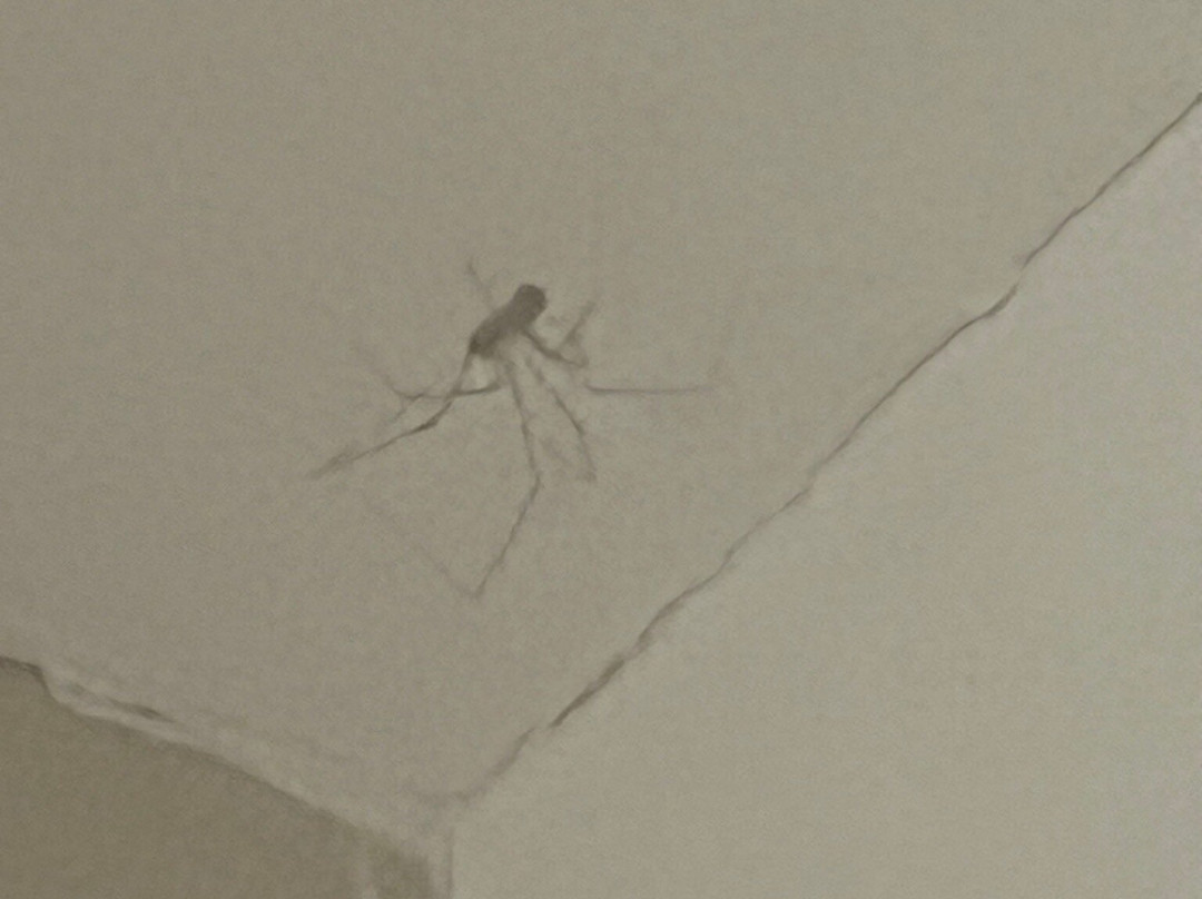 Les Ilets de la Plage主图