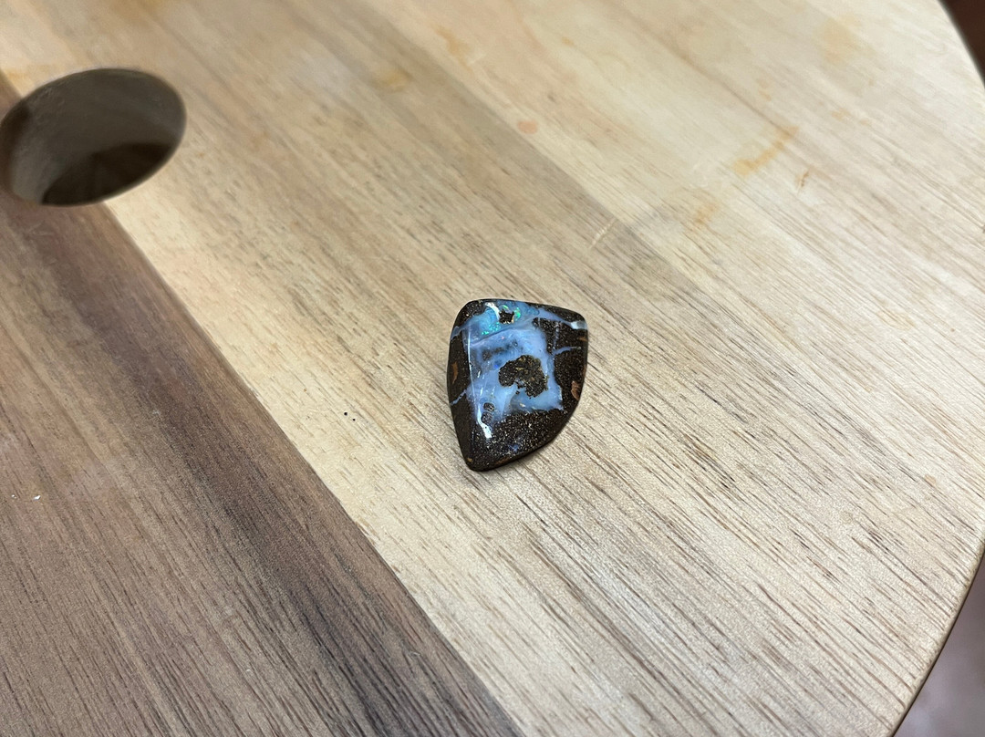 Opal Museum-布里斯班必去景点