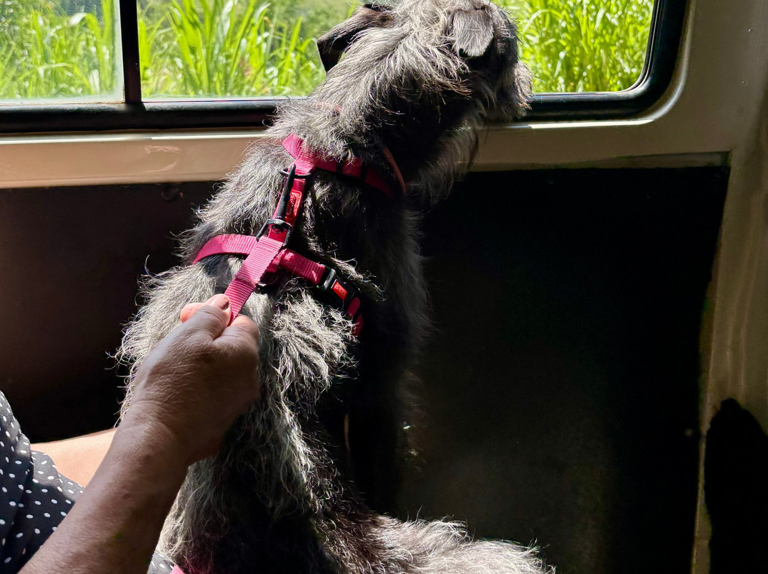 Bocaina Experience - Turismo & Cultura-Sao Jose do Barreiro必去景点