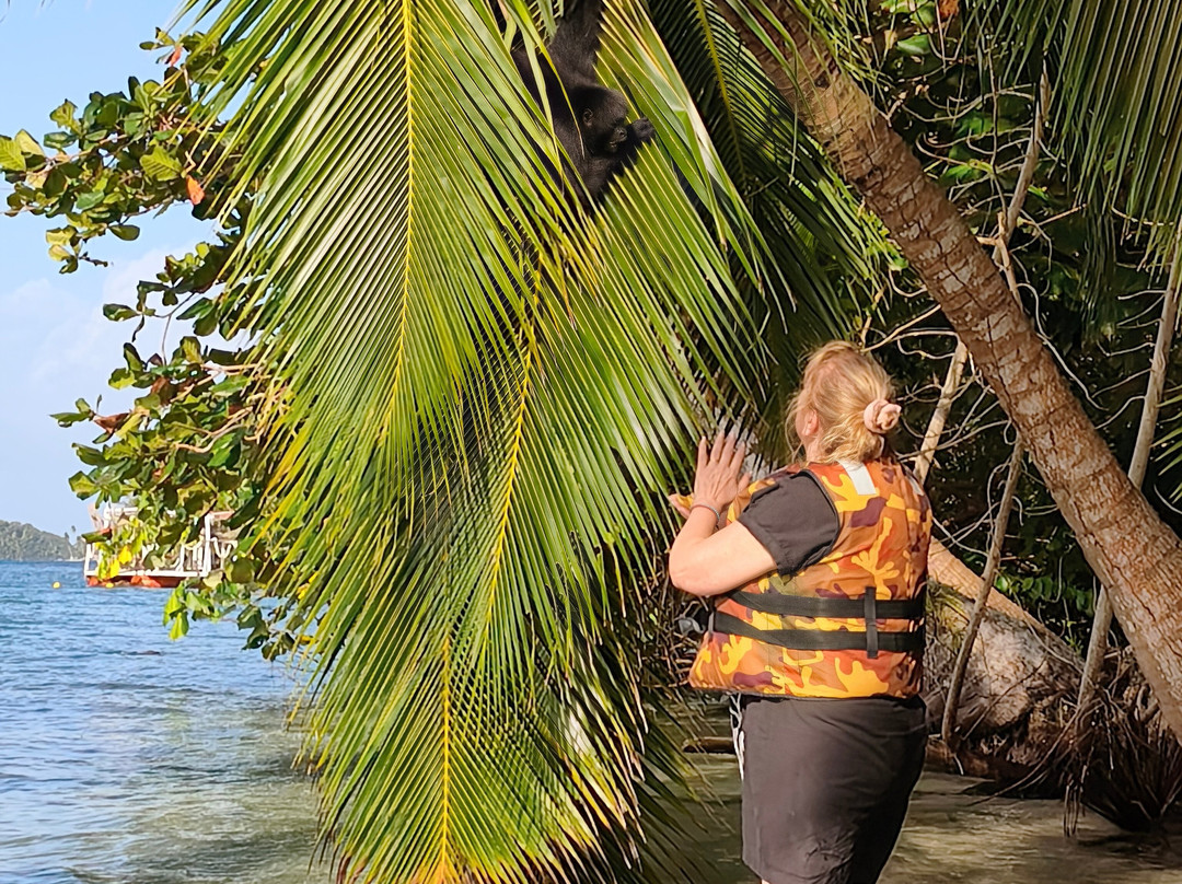 Panama Tour Trip-巴拿马城必去景点