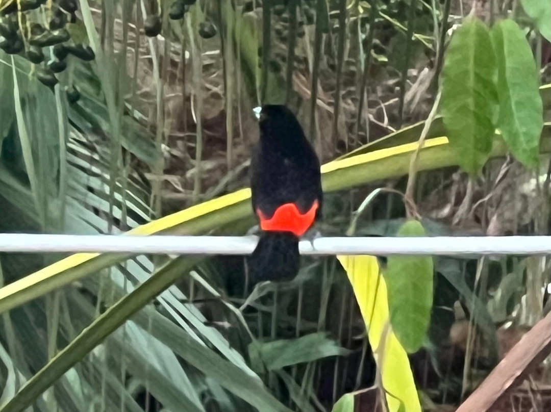 Gaia Hotel & Reserve主图