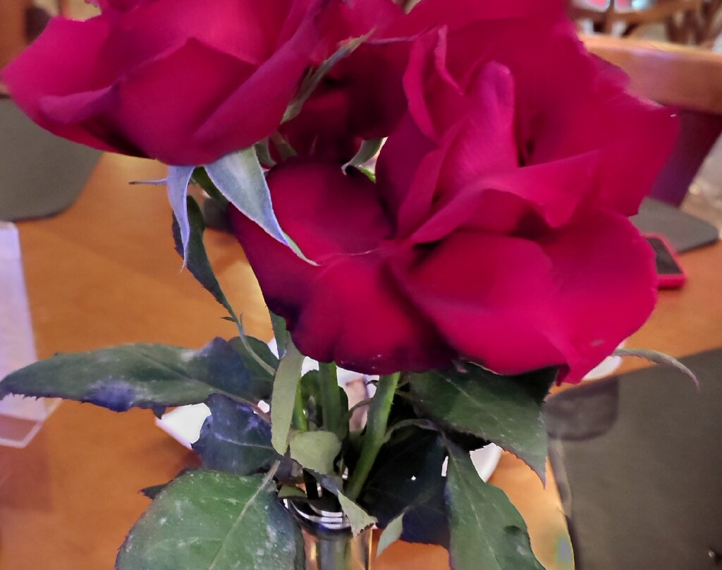 Sleep Inn Vitoria Praia Do Canto主图