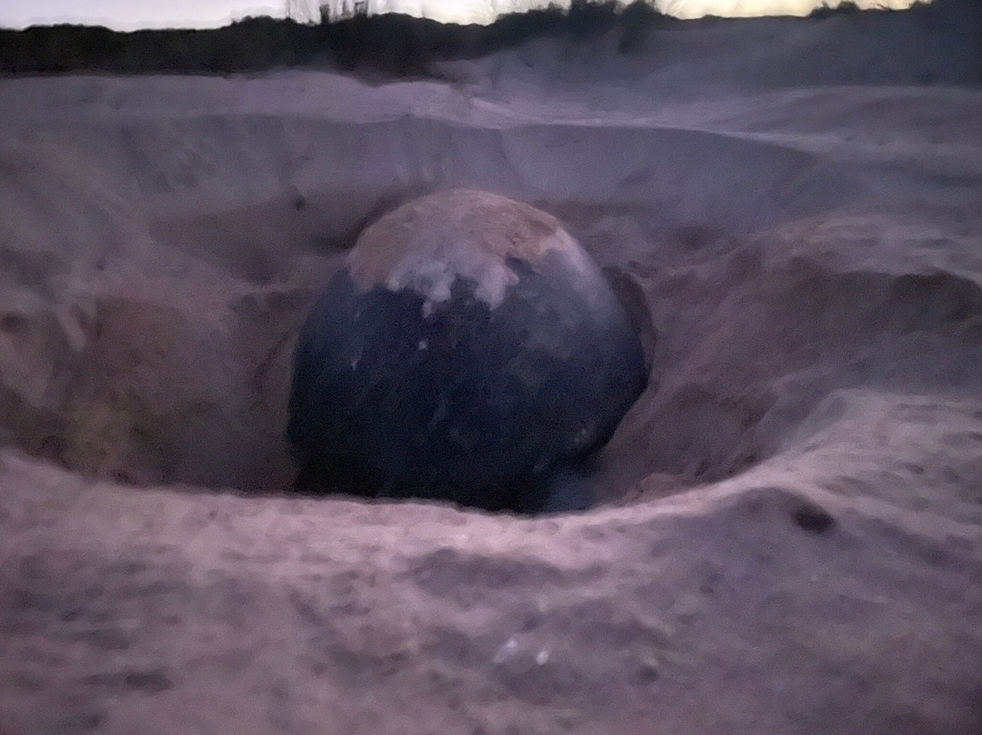 Jurabi Turtle Centre-埃克斯茅斯必去景点