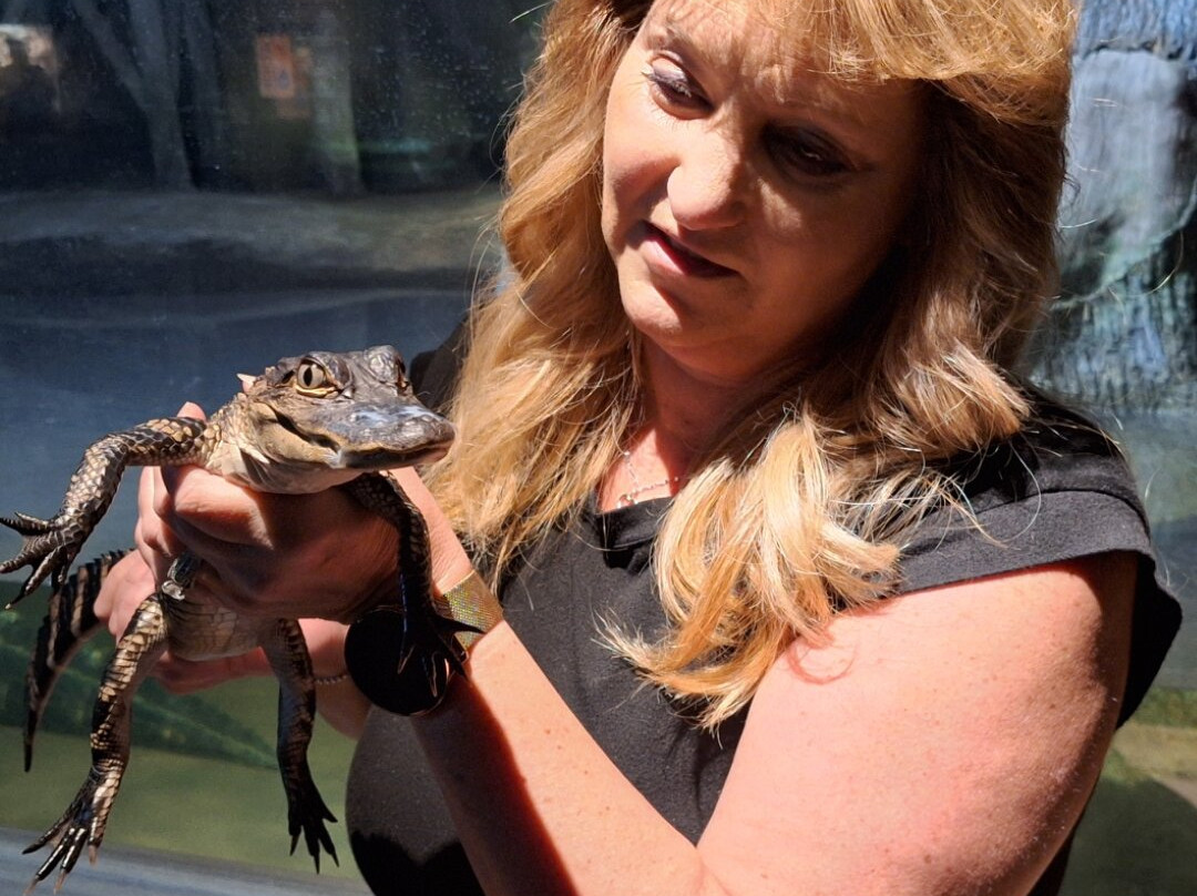 Daytona Aquarium & Rainforest Adventure-代托纳比奇必去景点