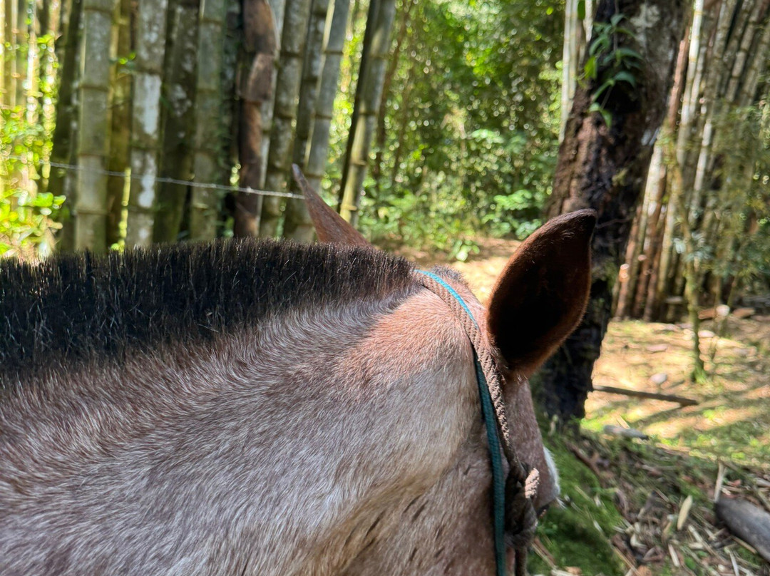 Brisas del Nara-哥斯达黎加安东尼奥国家公园必去景点