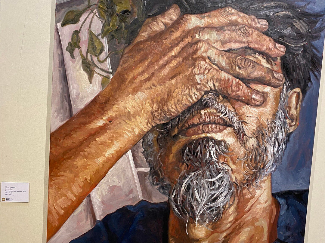 Museo de Arte Octavio Ocampo.-Celaya必去景点