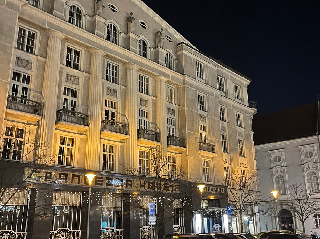 格兰子酒店主图