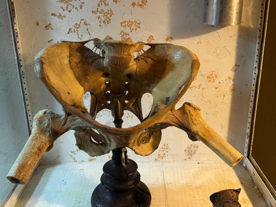 The Mourning Museum-Niles必去景点