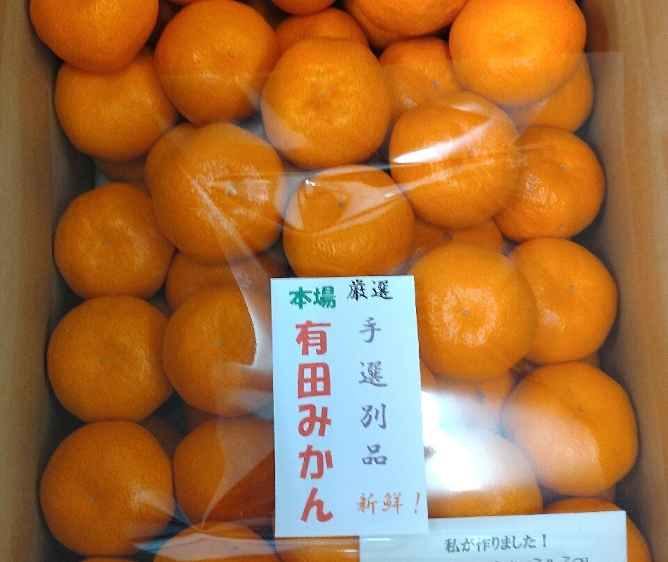 JA Arida Farmars Market Aridakko-有田市必去景点